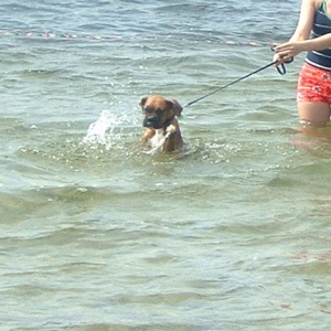 At the beach