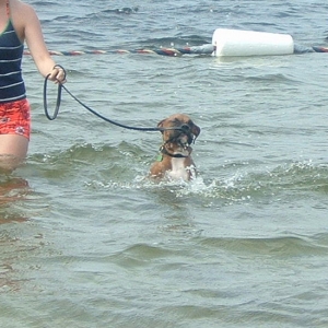 At the beach 2