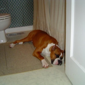 Waiting for Daddy in the Shower