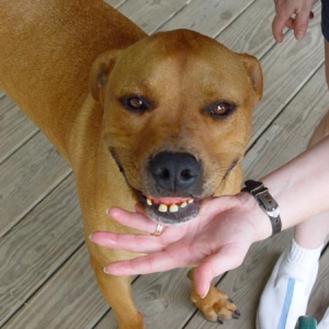 Jessie Needs Some Braces