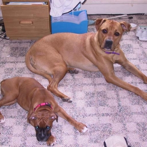 Jessie and Jake