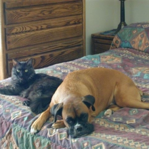 Pancho and Salem