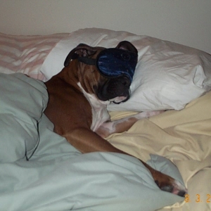 What, me spoiled??
