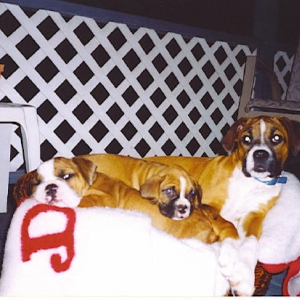 Babies in basket