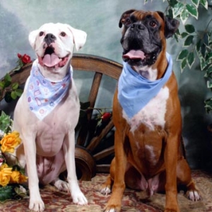 Maddie and Chance