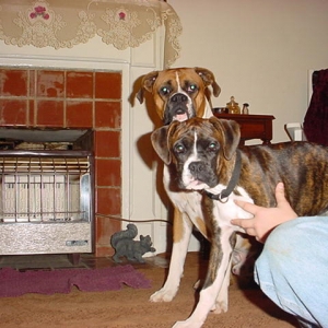 Hound Dog & Ebby