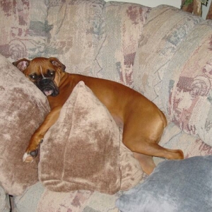 Too Comfortable!