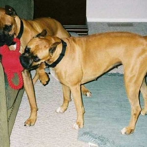 It's Mine. . . No, It's Mine