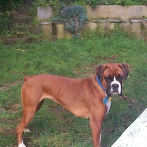 Stella 17 months