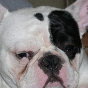 who said my head was big?