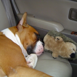 Do Not Disturb!