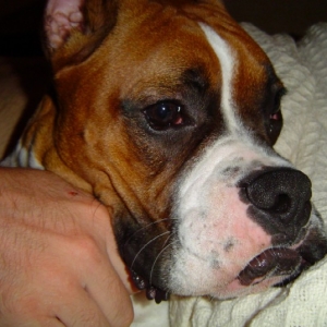 What a pouter!
