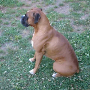 Quimby_1