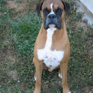 Quimby 2