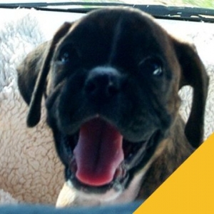 Courage on her first ride home