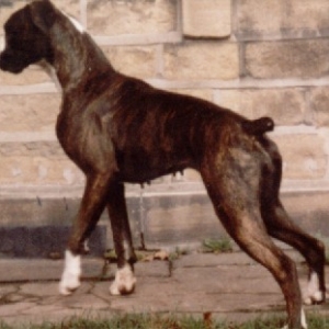 Leah...1986
