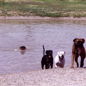 Taking a swim
