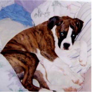 Belle looking sad