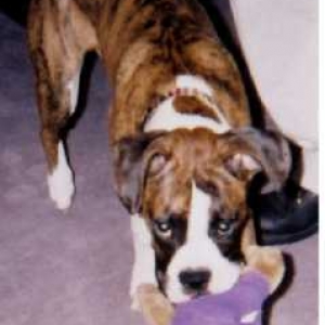 Belle playing with her toy