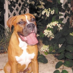 Layla In Back Yard Posing Pretty