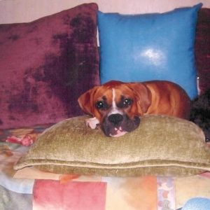 Layla Posing On Bed