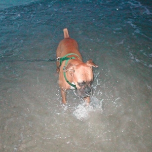 Dee Dee playing in the water