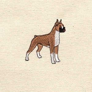 LLBean boxer