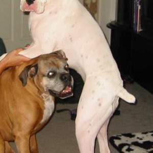 Duke and Ellie