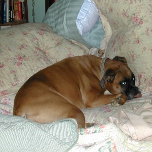 nap