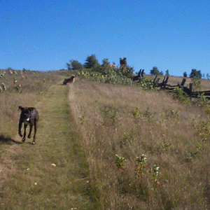 400 acres of fun