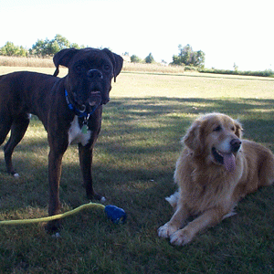 Vegas and Abby