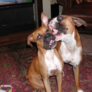 Kissin' on Brandy