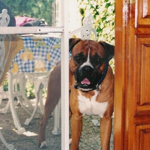 will you come out and play with me?