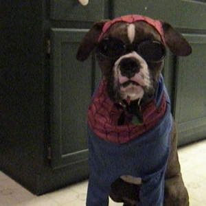 Trick or Treat?