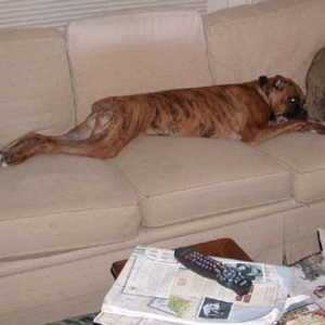 Comfortable?