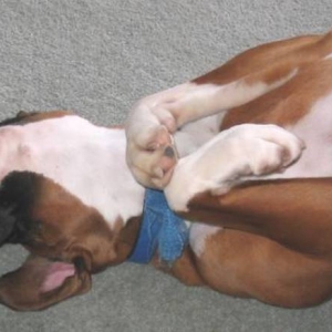 Praying in her sleep?