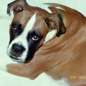 This floor is really cold on my belly.