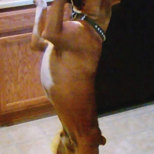 Dancin' for a treat