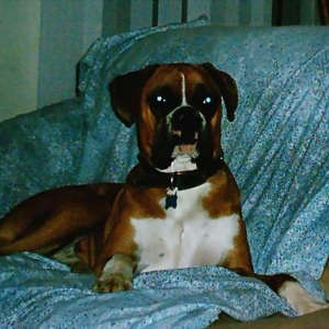 Chillin' on the couch