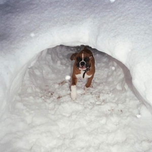 Runnin' thru the tunnel