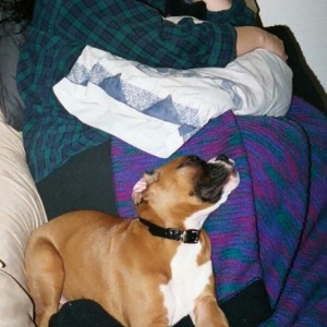 Two tired puppies