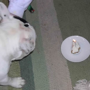 Biggie's birthday cake