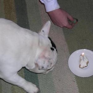 Blowing out the Candle