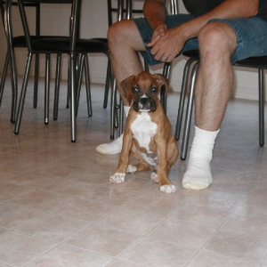 First Day Home