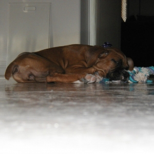 Naptime
