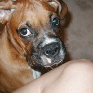 Pretty Girl