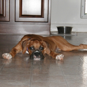 Pooped Out