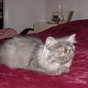 Help! I need a name!