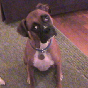 you lookin at me?