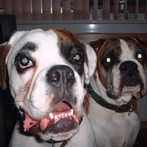 Benn and Cass